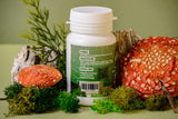 Amanita muscaria in 60 capsules