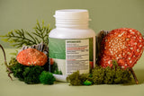 Amanita muscaria in capsules 120 x 0.5g