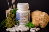 Lion's mane capsules of 0.4 g