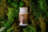 Amanita regalis capsules 60 pcs. 0.5 g