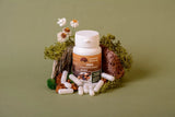Birch chaga in capsules 0.3 g