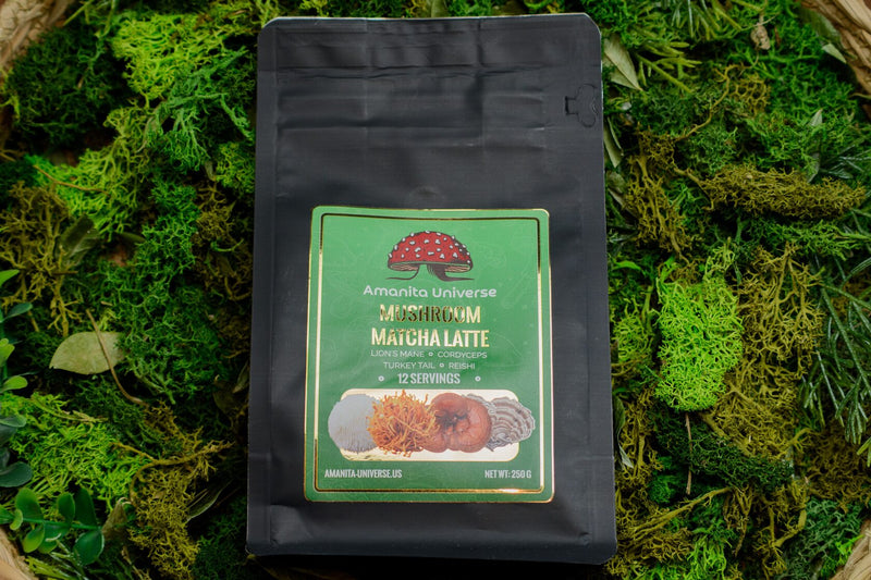 Mushroom matcha, 250 g