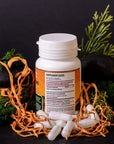 Cordyceps militaris capsules of 0.5 g