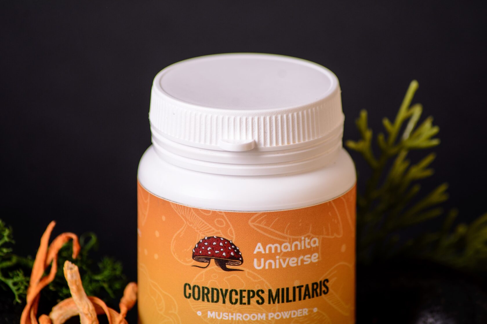 Cordyceps militaris ground