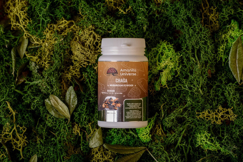 Ground birch chaga