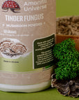 Trametes versicolor GROUND 50 g