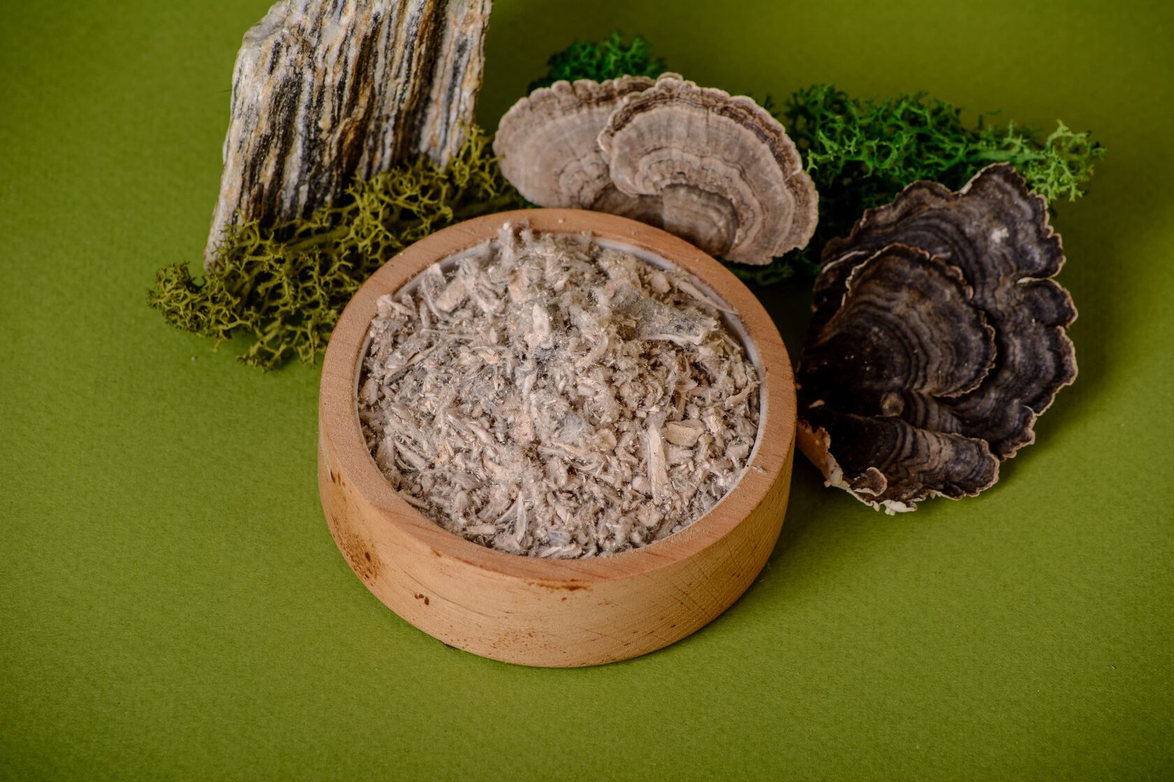 Trametes versicolor GROUND 50 g