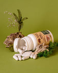 Maitake ground 50 g