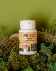 Maitake in capsules 60 pcs of 0.4 g