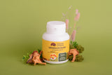 Chanterelle in capsules (0.4 g each)