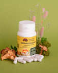 Chanterelle in capsules (0.4 g each)