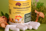 Chanterelle in capsules (0.4 g each)