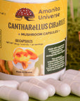 Chanterelle in capsules (0.4 g each)