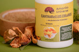 Chanterelle groung 50 g