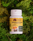 Chanterelle in capsules (0.4 g each)