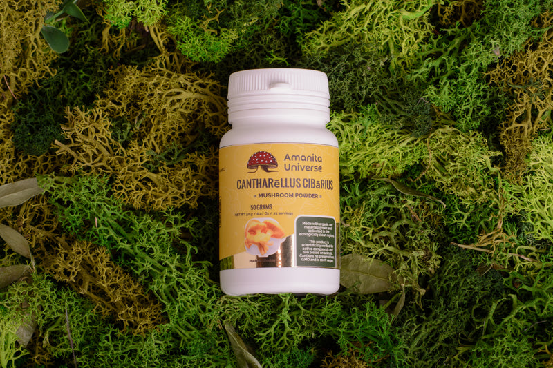 Chanterelle groung 50 g