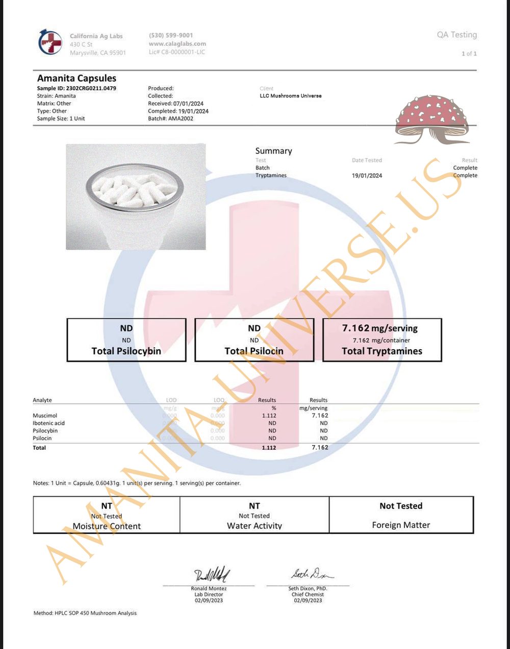 Phytosanitary Certificate — document image from the live store