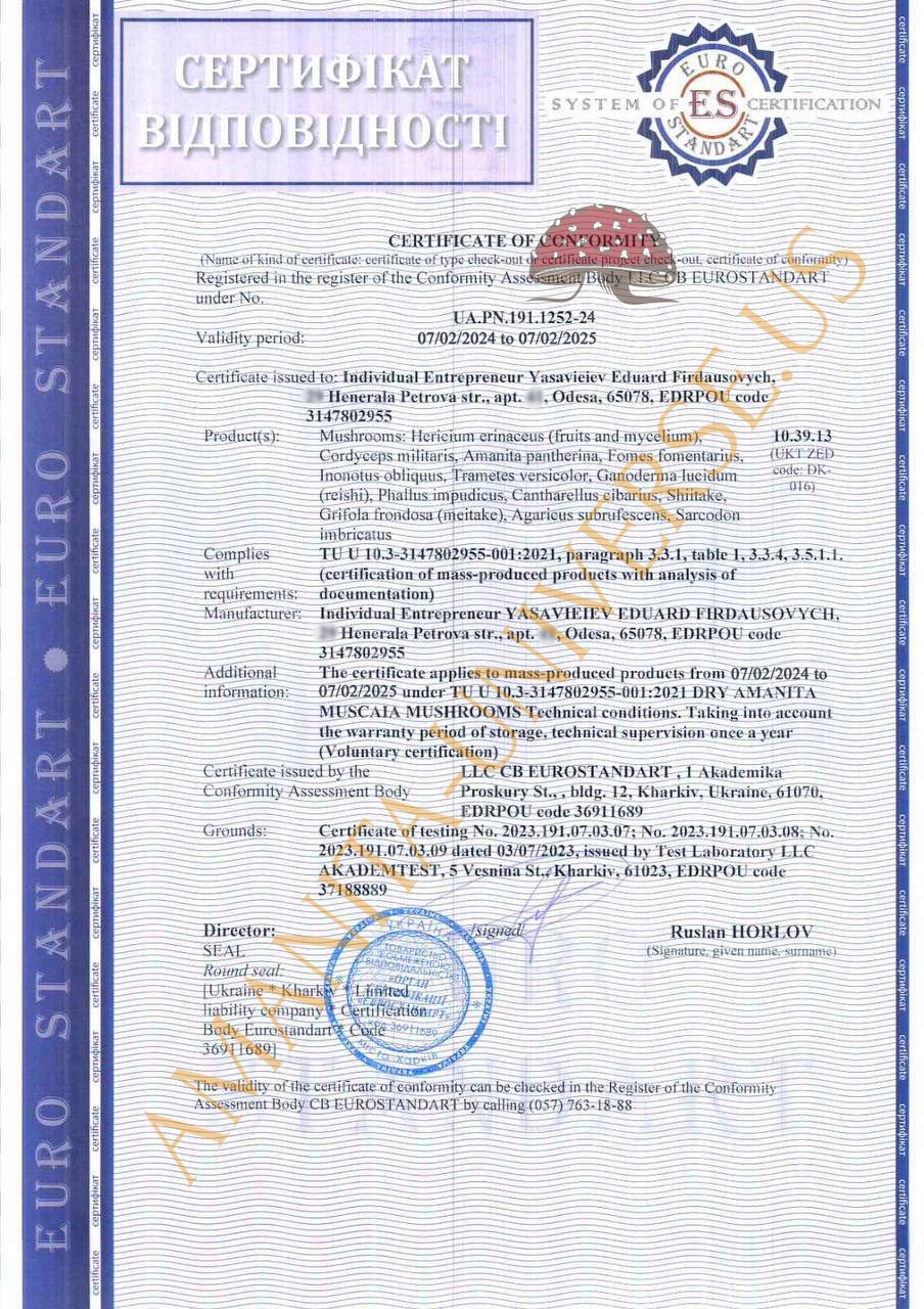 Certified test report — document image from the live store